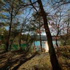 Un Lago en el Bosque