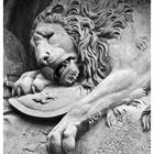 Un león en Lucerna