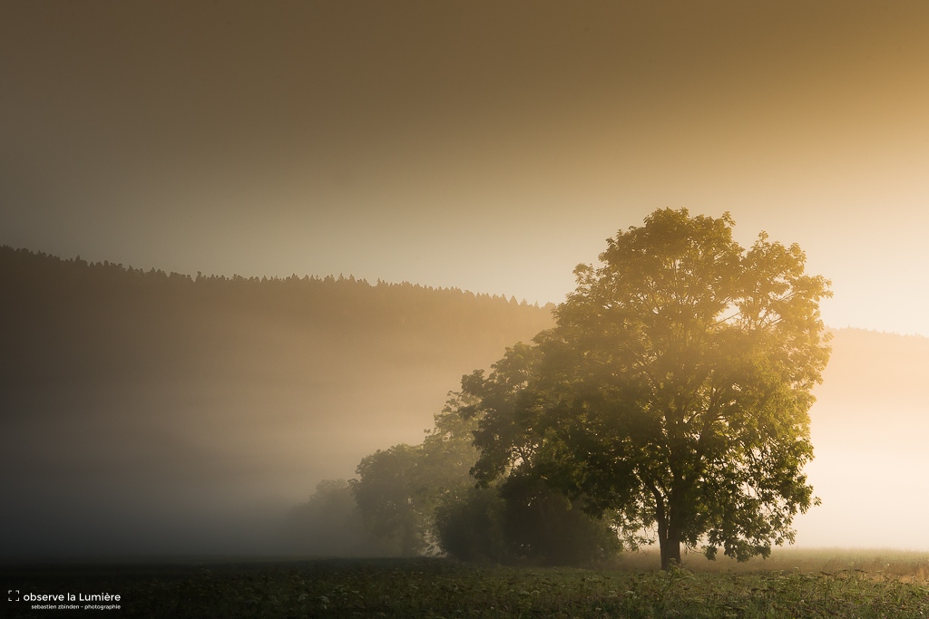 Un lever de soleil brumeux