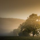 Un lever de soleil brumeux