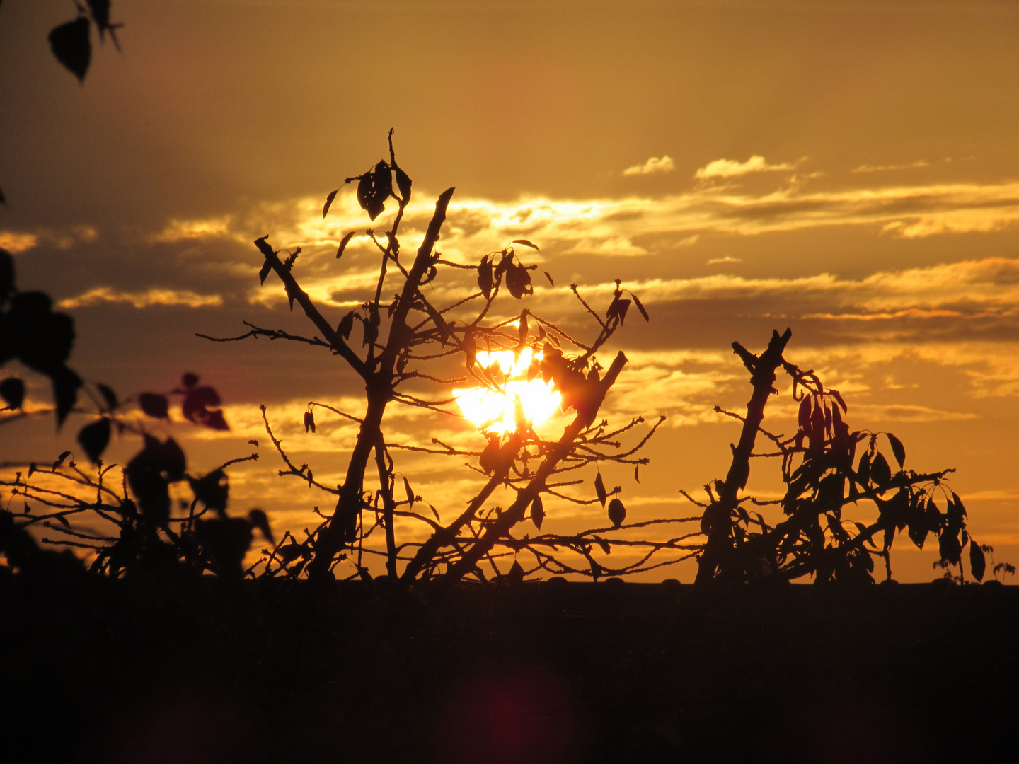 ...Un lever de soleil ..