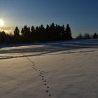 Un lever de soleil un matin froid