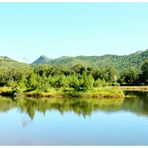 Un îlot sur la rivière