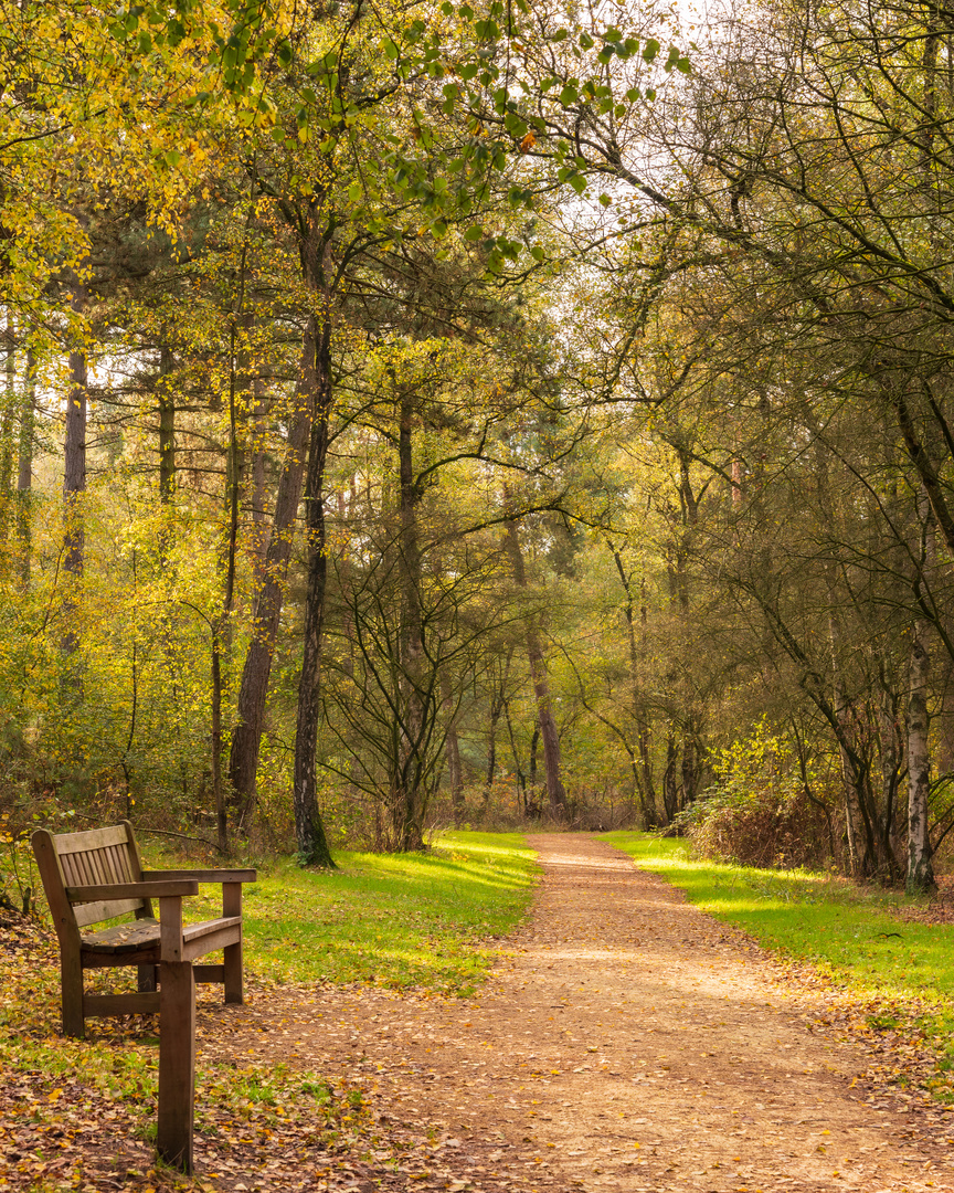 Un lugar para descansar