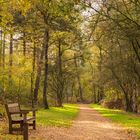 Un lugar para descansar