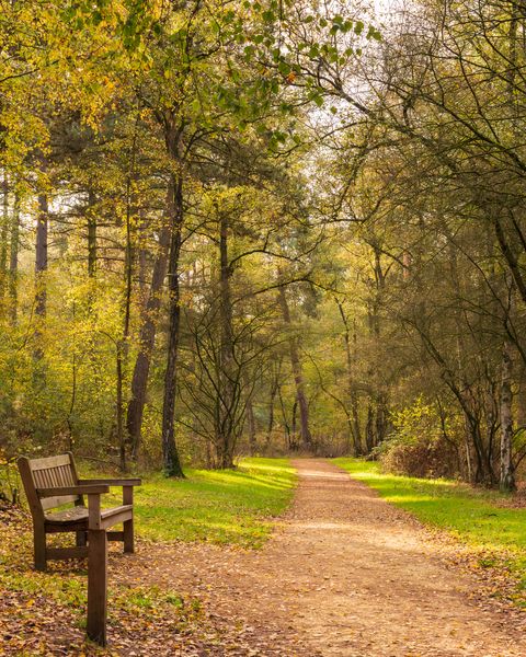 Un lugar para descansar