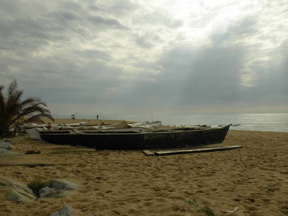 Un Mar de pensamientos creador de sentimientos