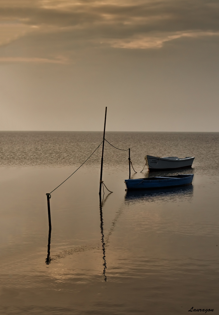 un mar de tranquilidad ll