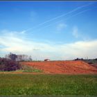 un mare di colori