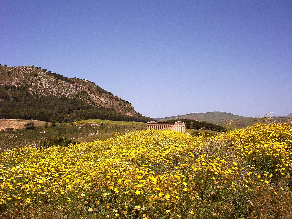 Un mare giallo e, laggiù, un tempio...