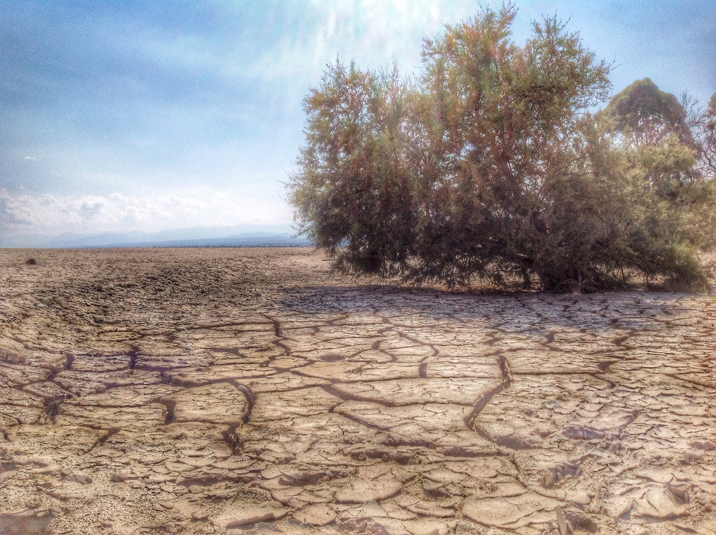 Un mare nel deserto