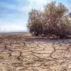 Un mare nel deserto