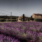 un mas en Provence !!!!!