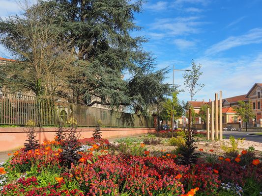 Un massif printanier à Montauban
