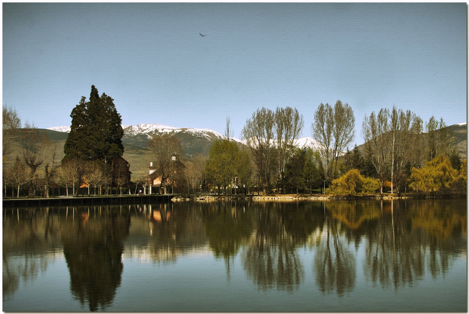 Un matí de primavera a l'estany I