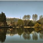 Un matí de primavera a l'estany I