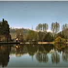 Un matí de primavera a l'estany I