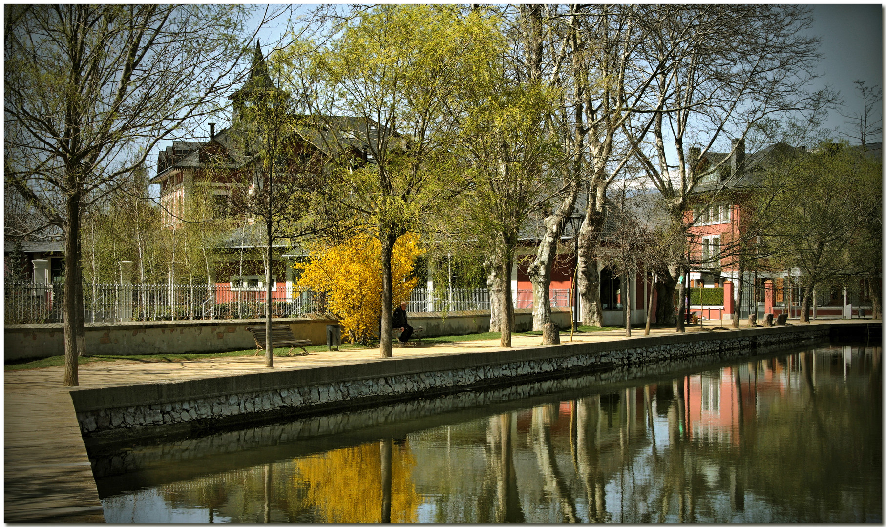 Un matí de primavera a l'estany II