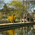 Un matí de primavera a l'estany II