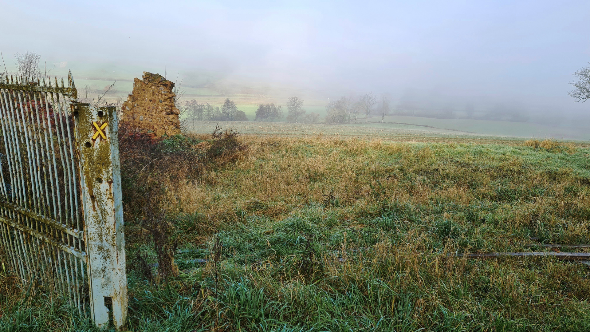 Un matin à la campagne