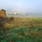 Un matin à la campagne