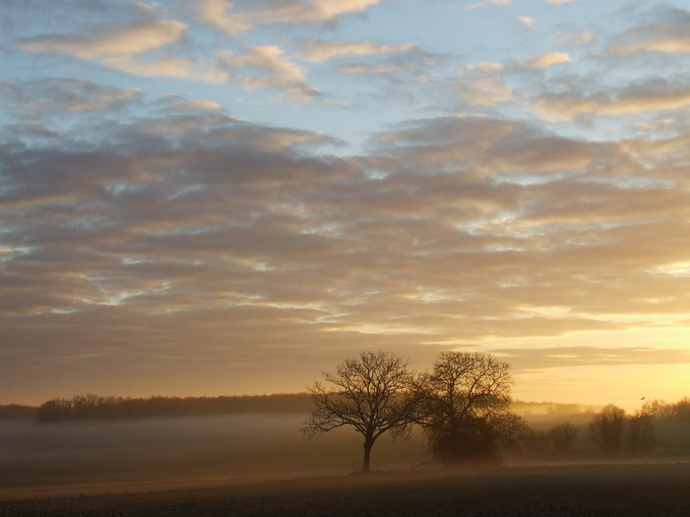 un matin