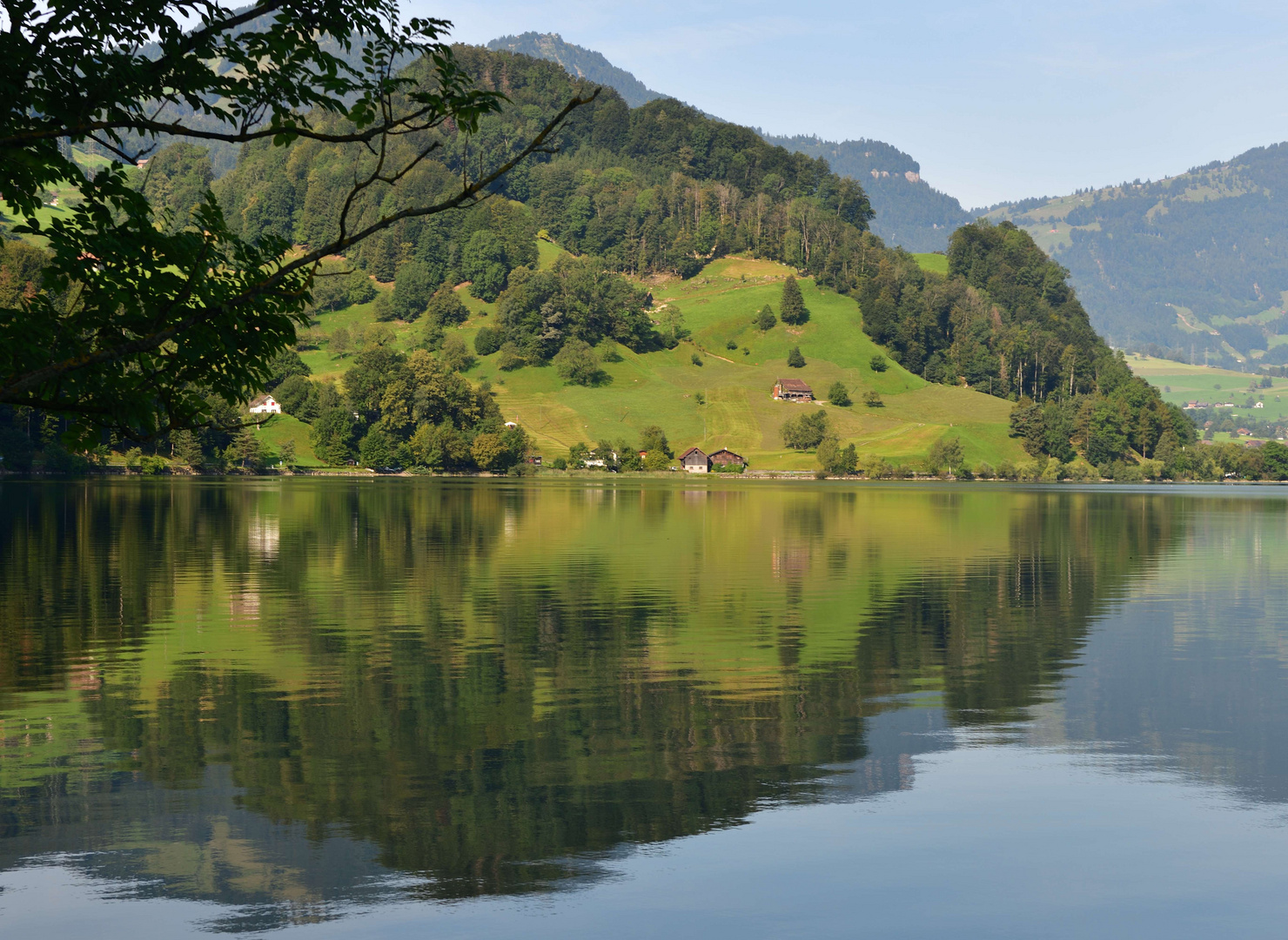 Un matin au bord du lac ...