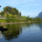 Un matin au lac de Walensee..01