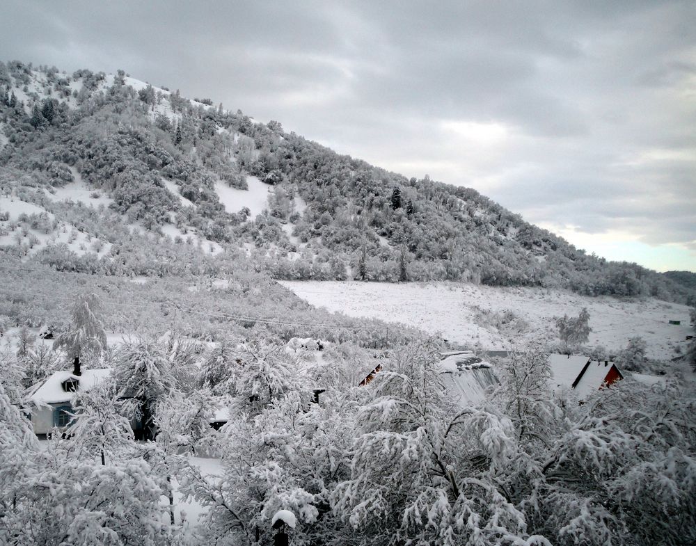 Un matin au réveil, on s'aperçoit que tout est blanc. de Eternal-sunshine 