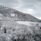 Un matin au réveil, on s'aperçoit que tout est blanc.