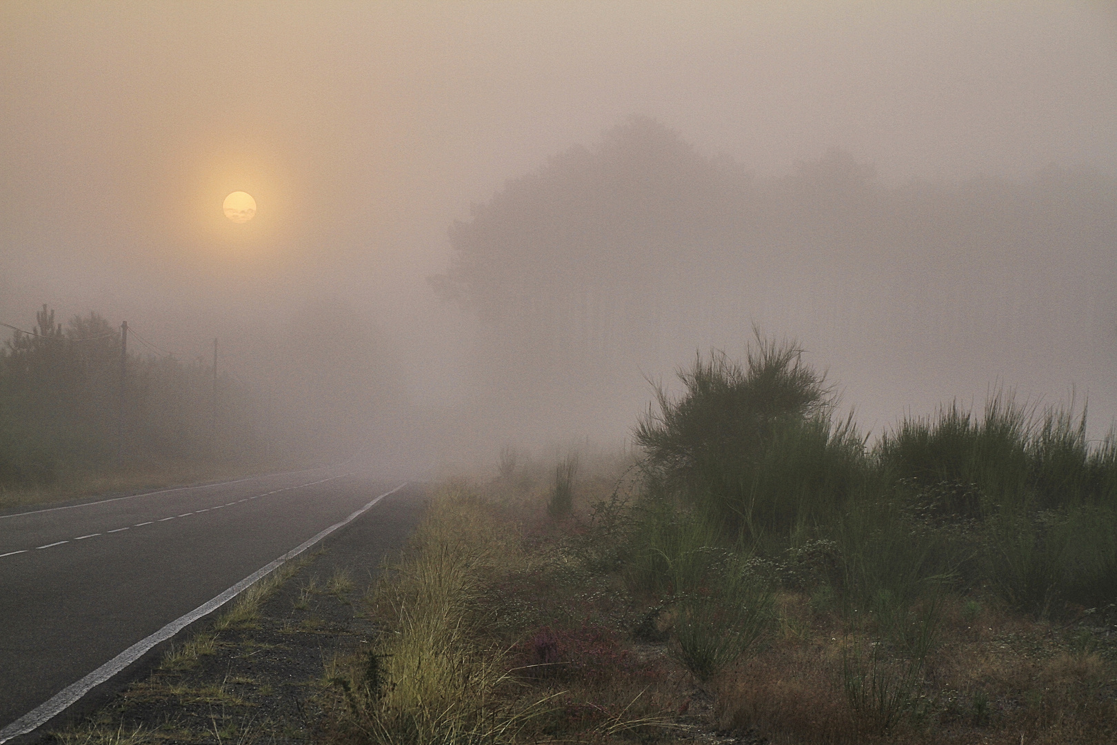 un matin avec le brouillard !