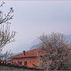 Un matin brumeux à Moniga del Bosco