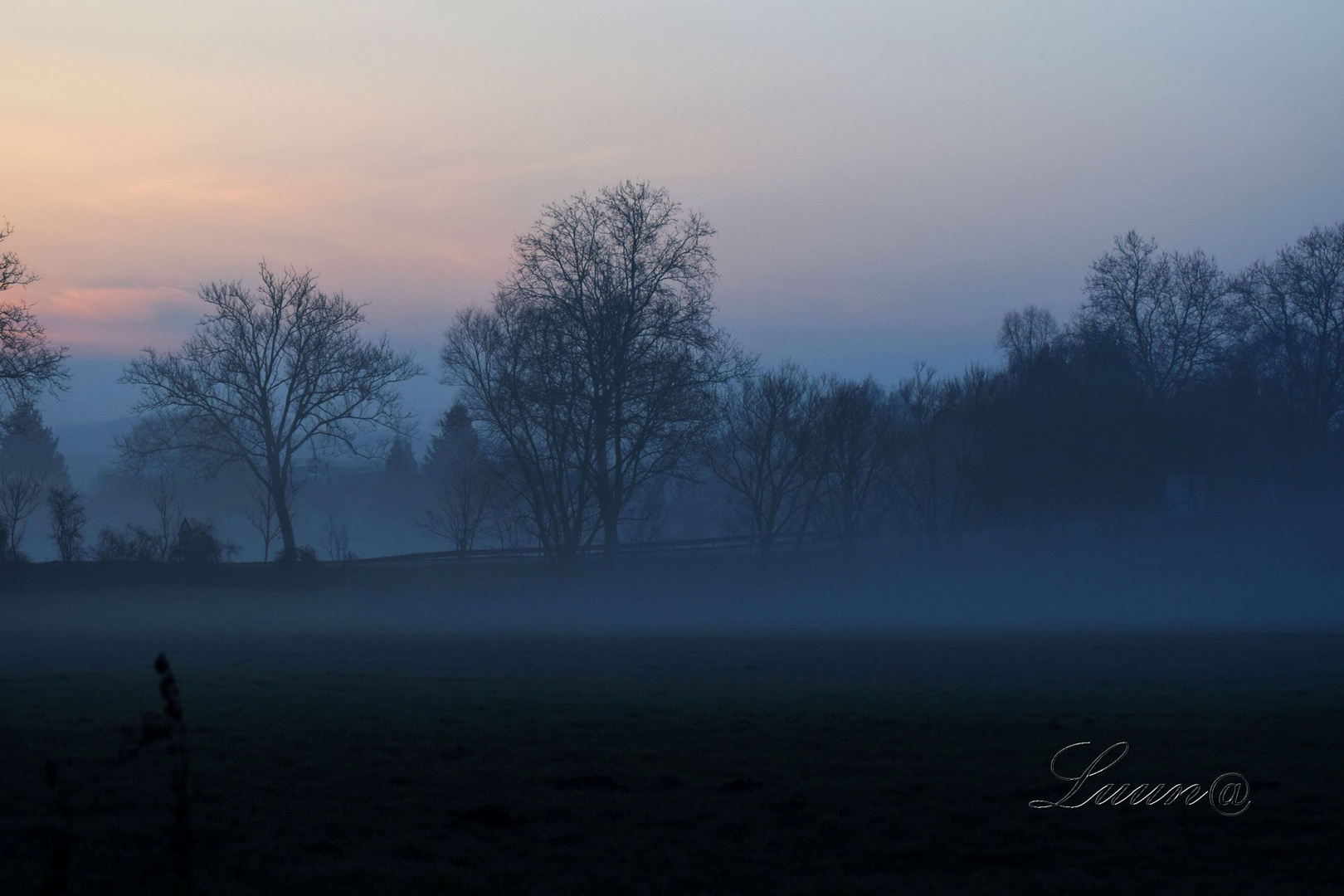 Un matin brumeux