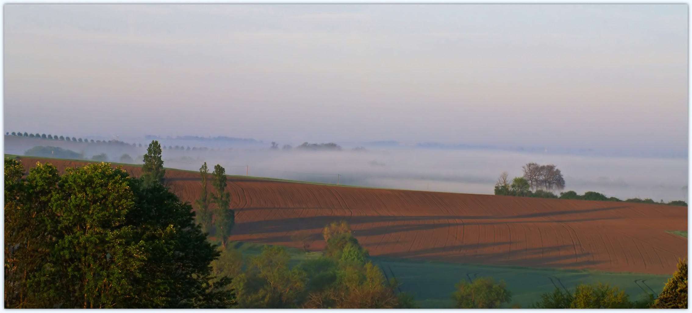 Un matin brumeux dans le Gers