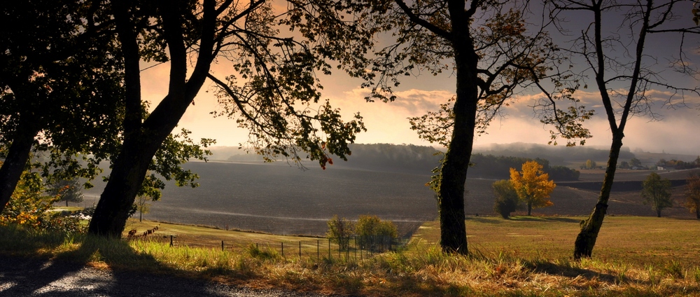 Un matin calme... ce matin...