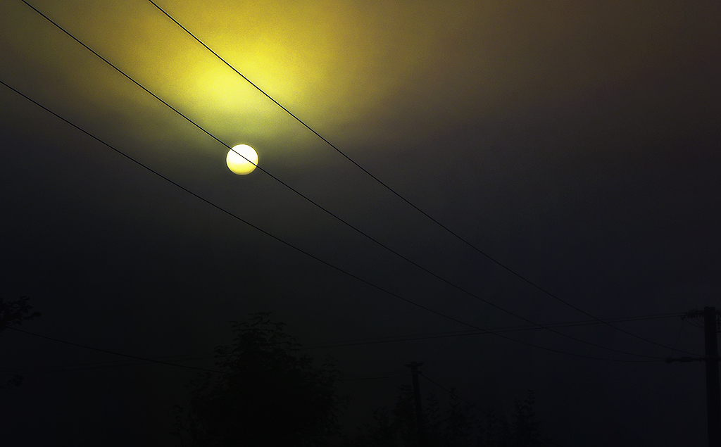 Un matin dans la brume automnale