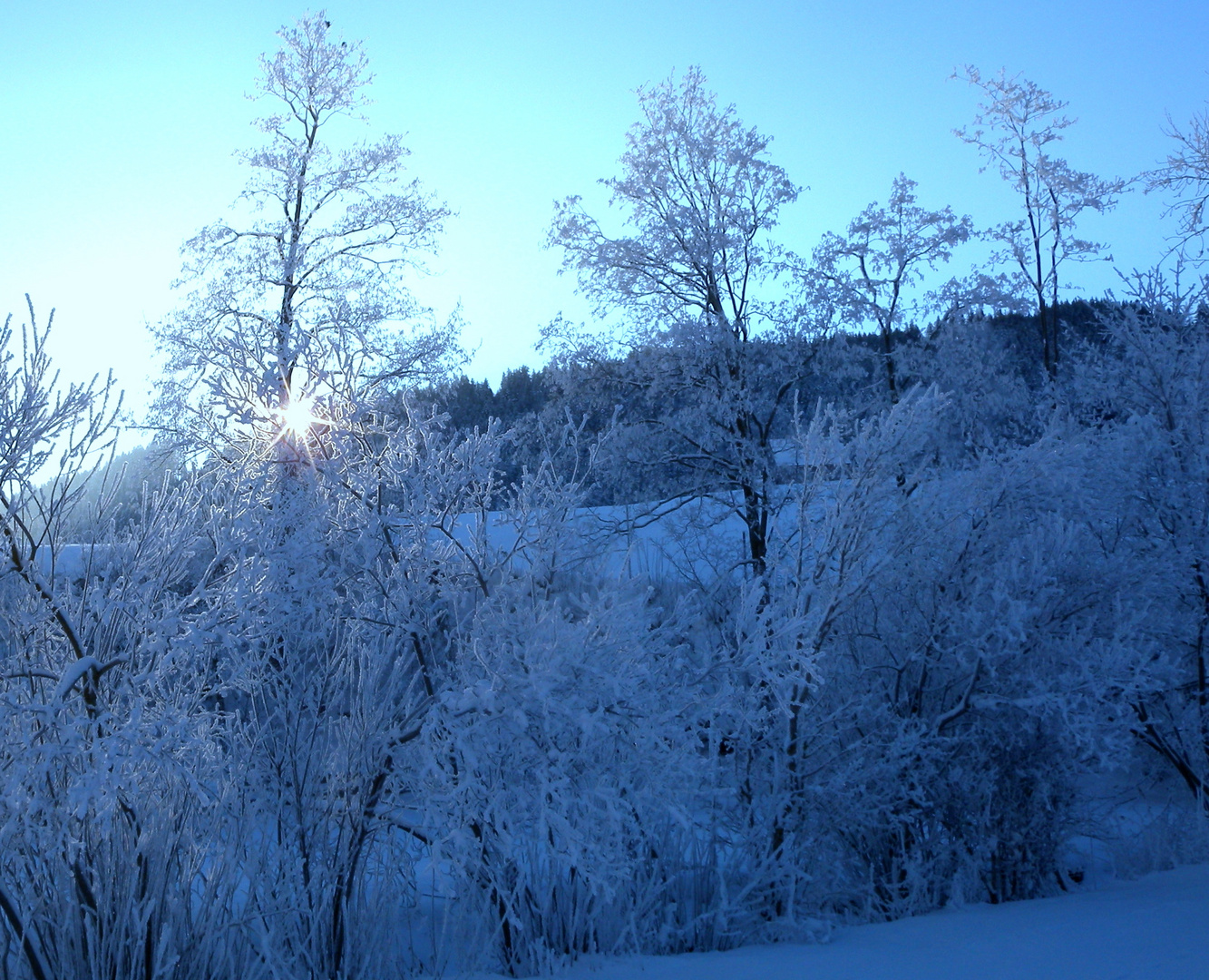 Un matin dans la région d'Appenzell.001