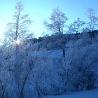 Un matin dans la région d'Appenzell.001