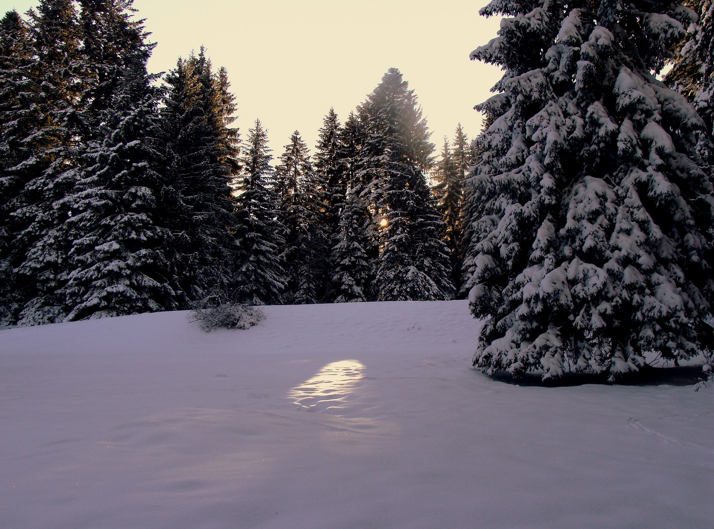 Un matin dans les Franches Montagnes...01