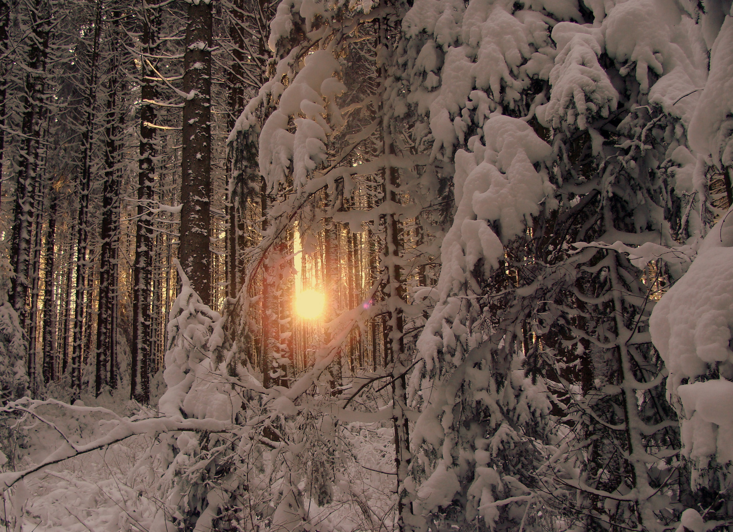 Un matin dans les Franches Montagnes...02