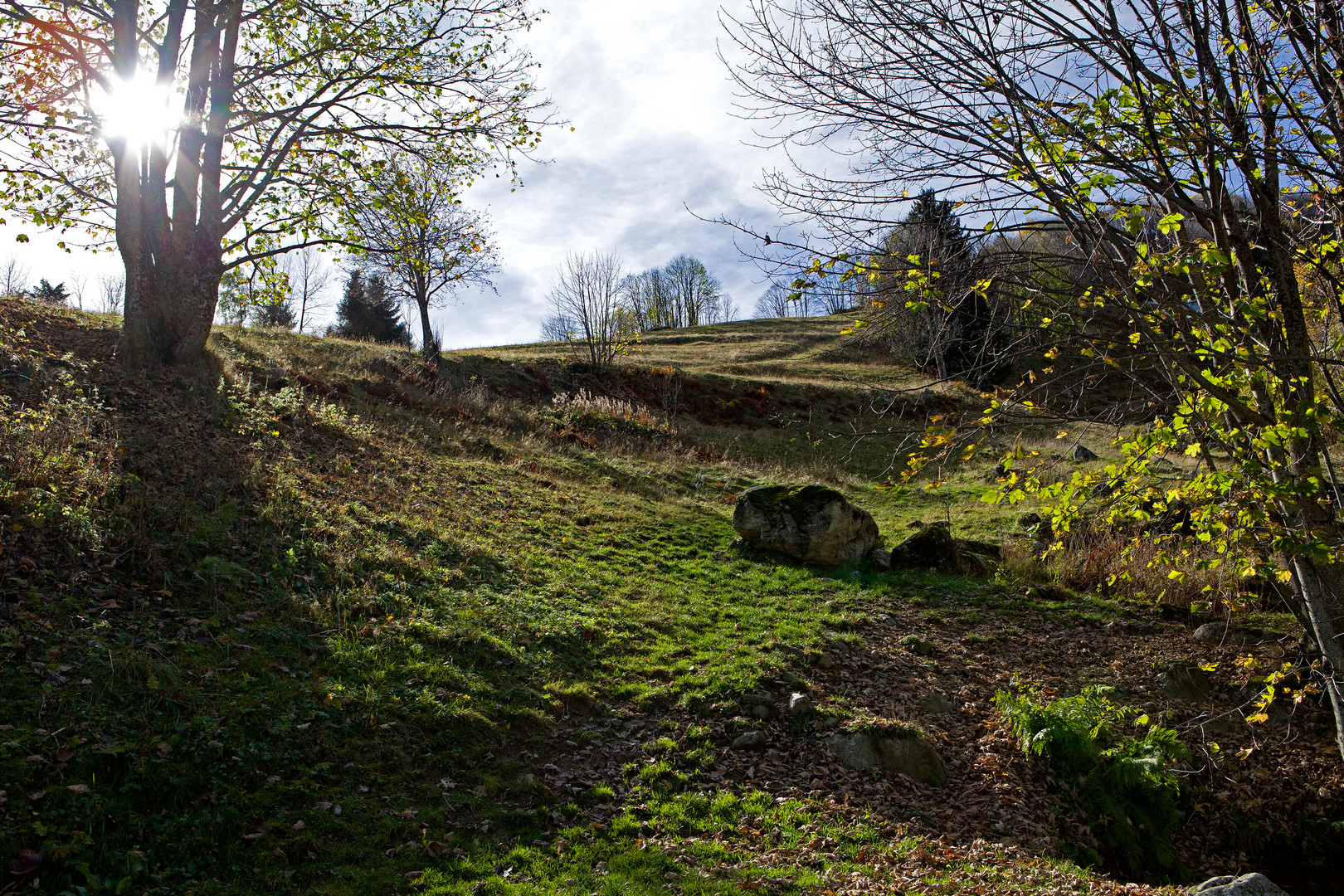 Un matin d'automne ...