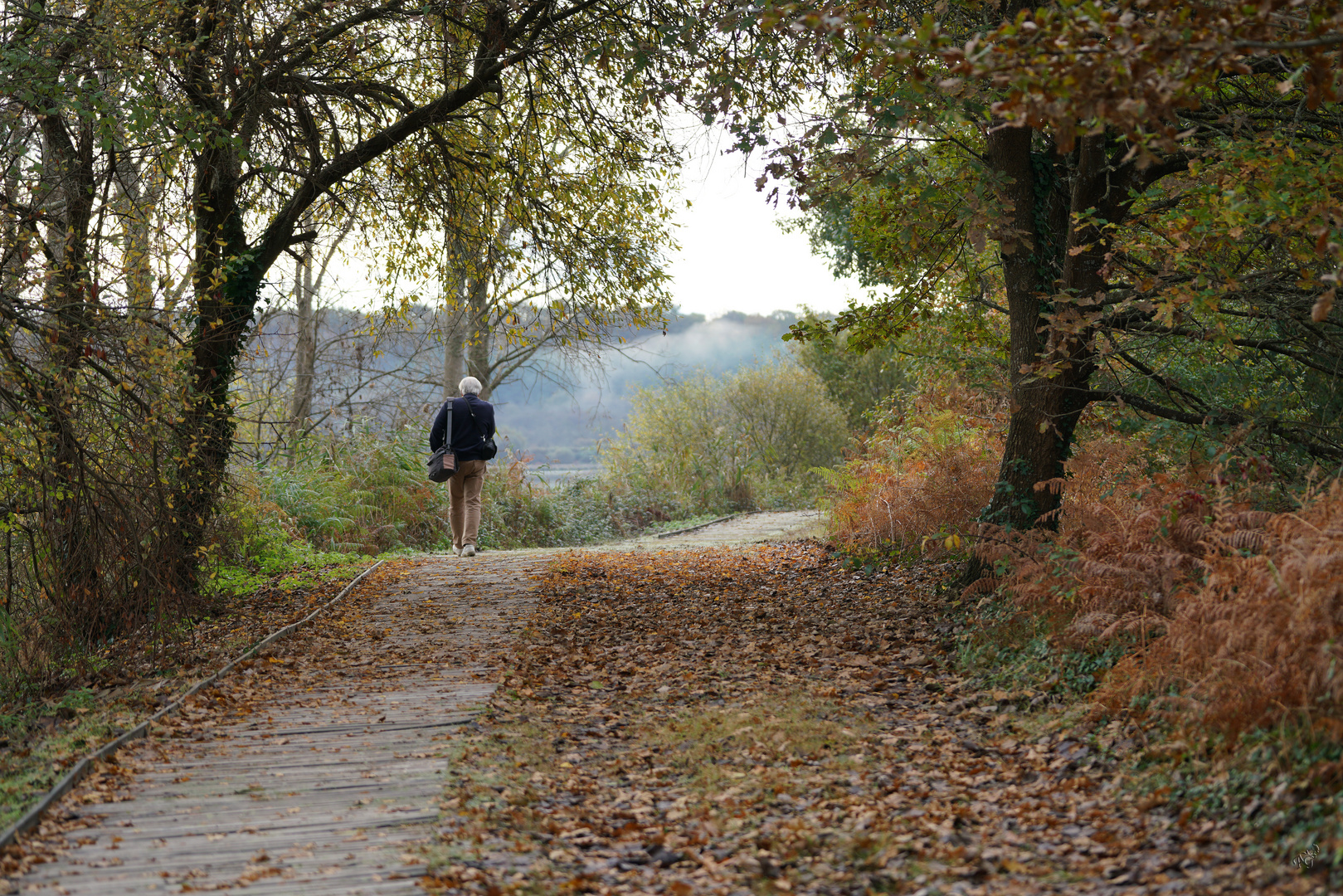 Un matin d'automne...