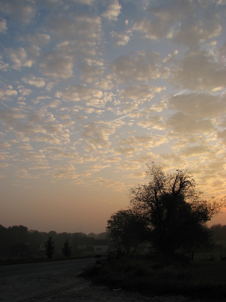 Un matin d'automne...