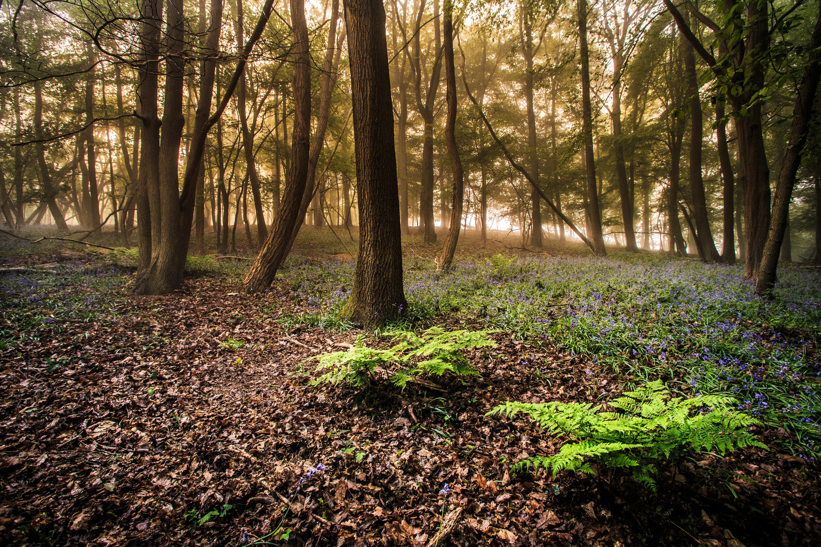 Un matin d'Avril