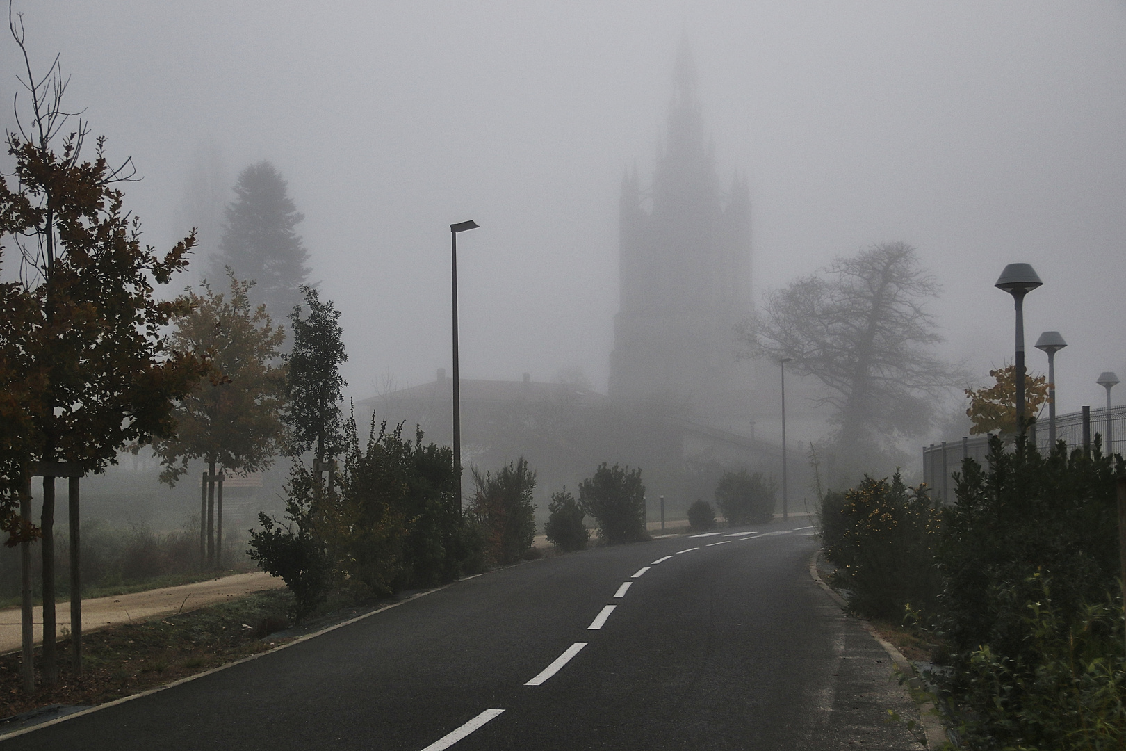 Un matin de brouillard !