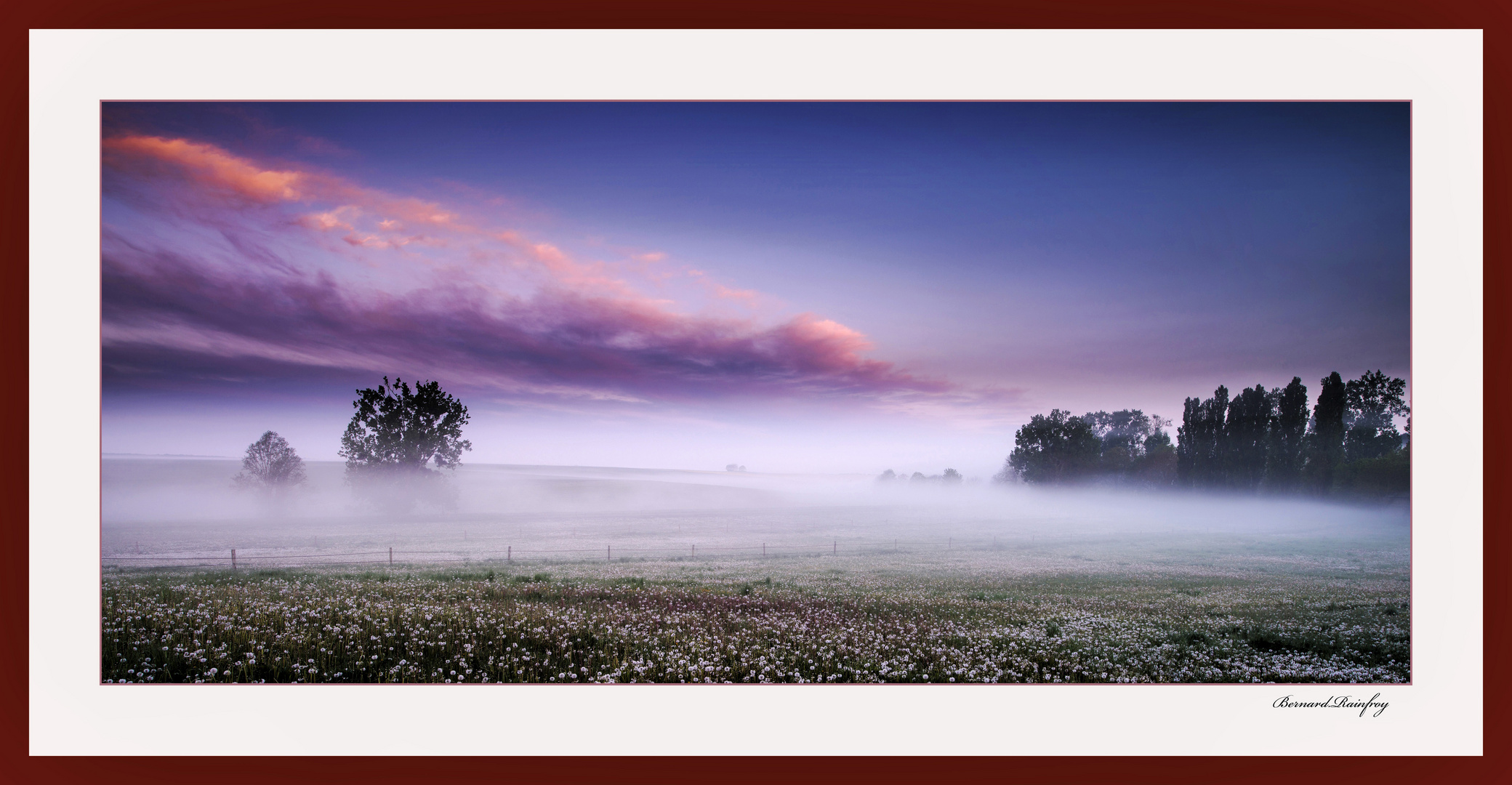 un matin de brume