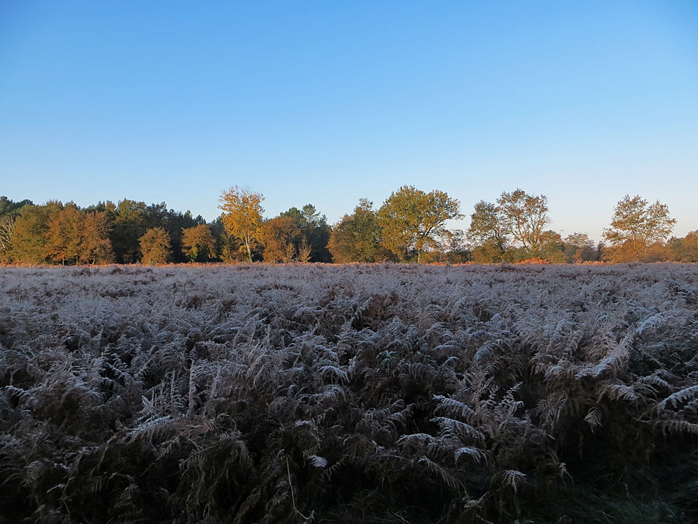 un matin de décembre !