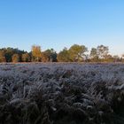 un matin de décembre !