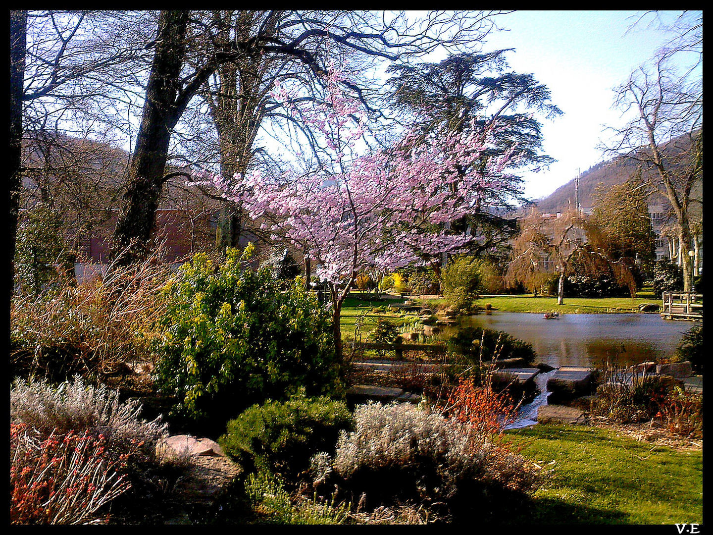 Un matin de Mars