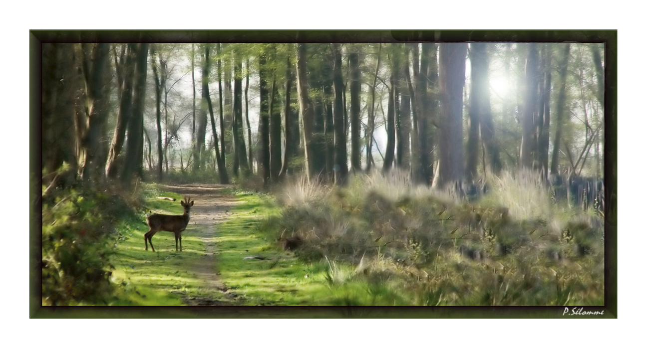 Un matin de printemps